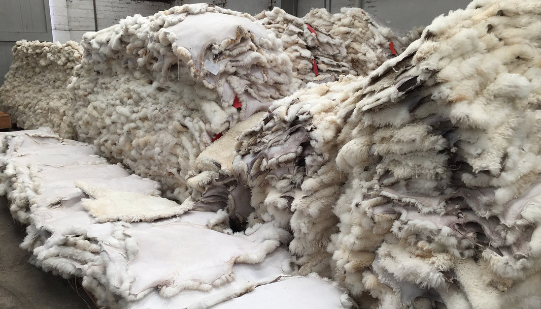 sheepskin sustainable