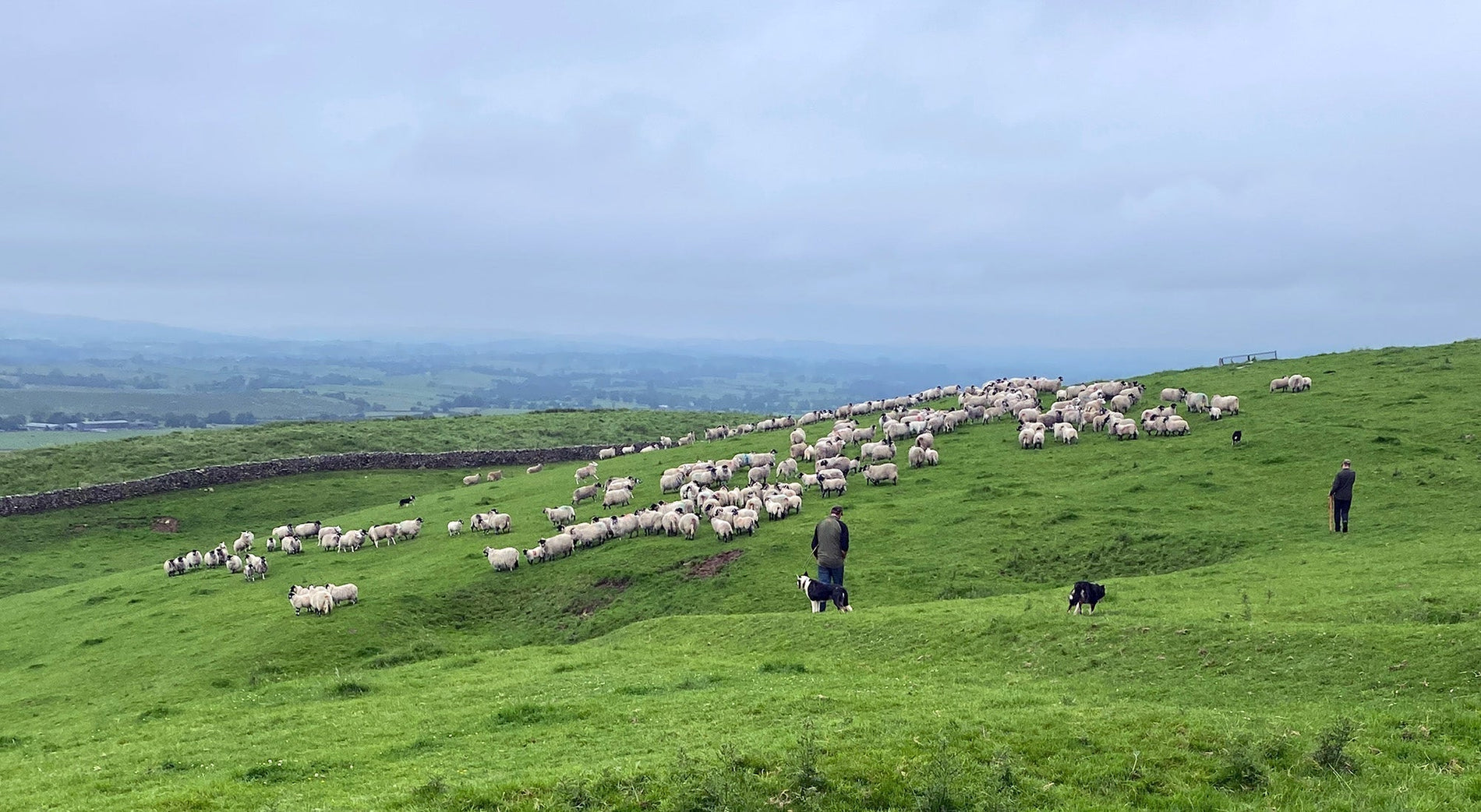 Glencroft joins The Gather - a Yorkshire Dales Tradition