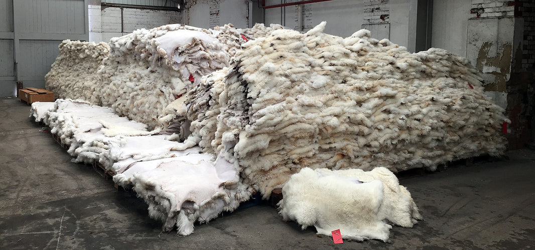 giant pile of tanned sheepskins