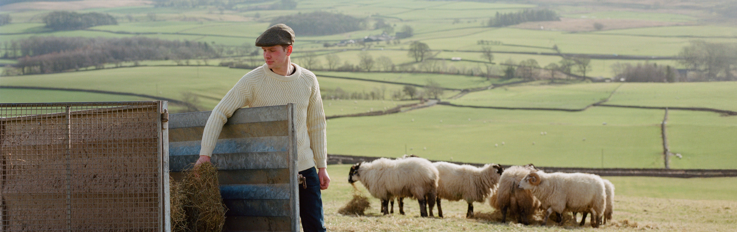 Man standing in front of valley and sheep putting hay into a trailer