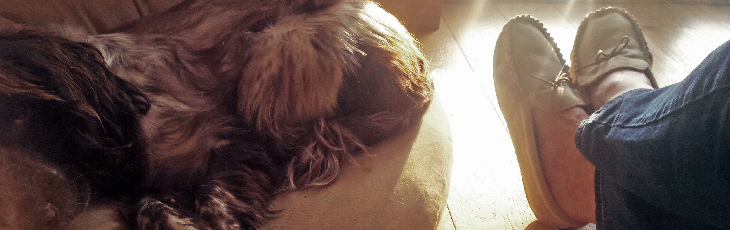 Dog lying down next to mans outstretched feet wearing moccasin slippers