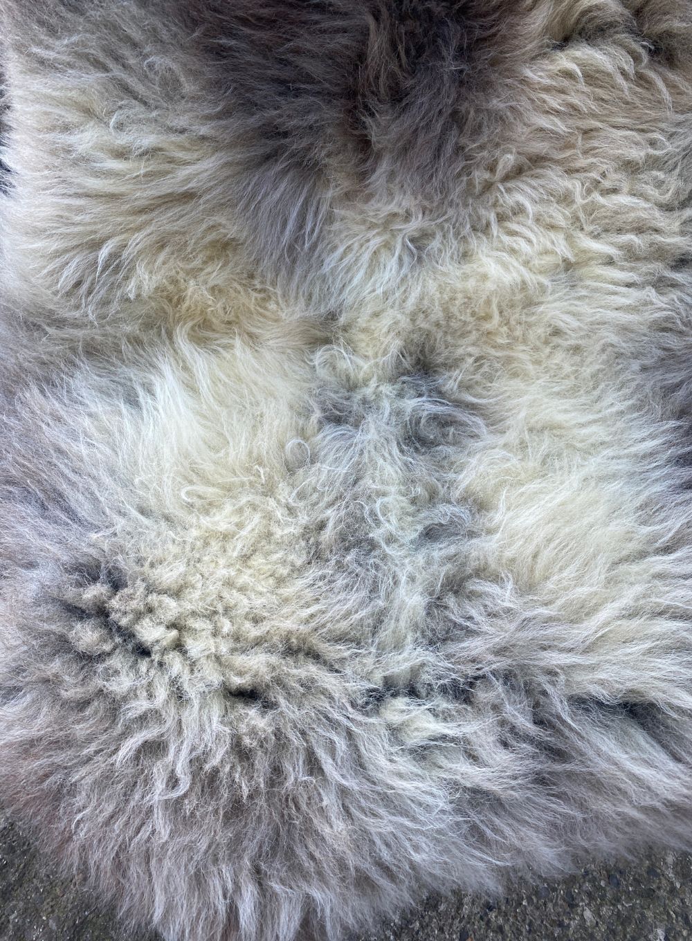 Brown and grey sheepskin rug close up