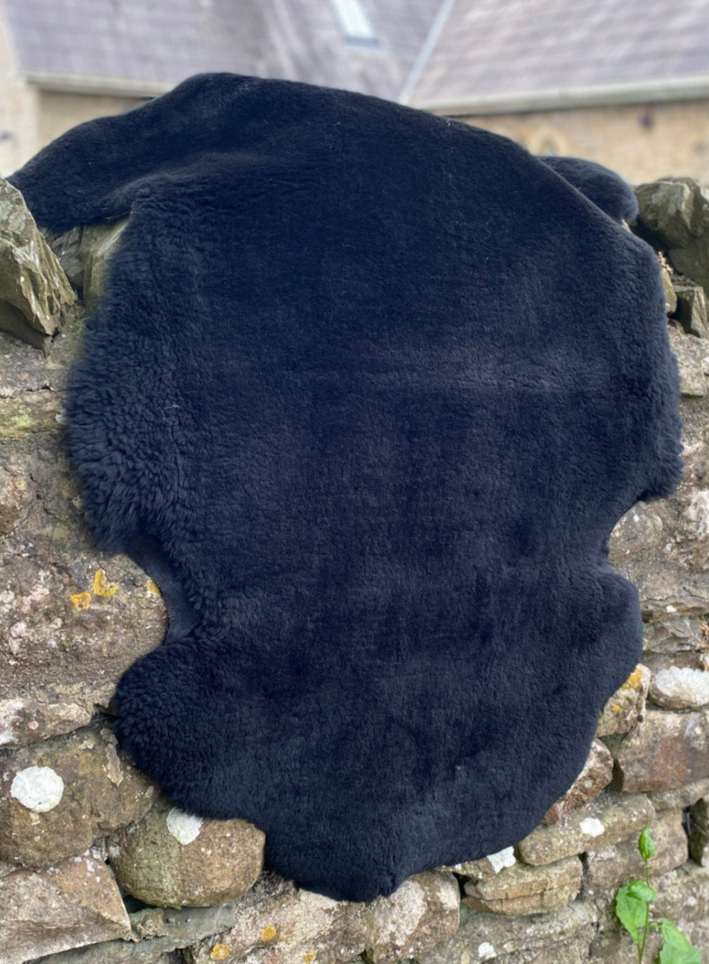 Black short haired sheepskin rug on wall  