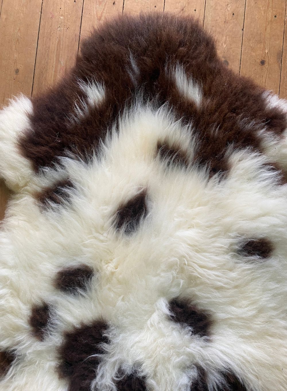 Brown and cream spotty sheepskin rug close up