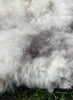 Raccoon British Sheepskin Rug