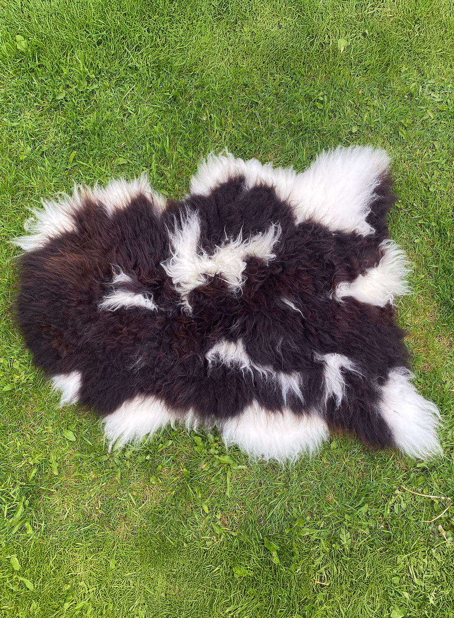 Hopkirk Spotty Jacob Breed British Sheepskin Rug