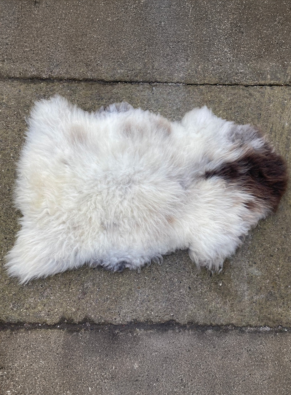 Bathilda Cream and Brown British Sheepskin Rug