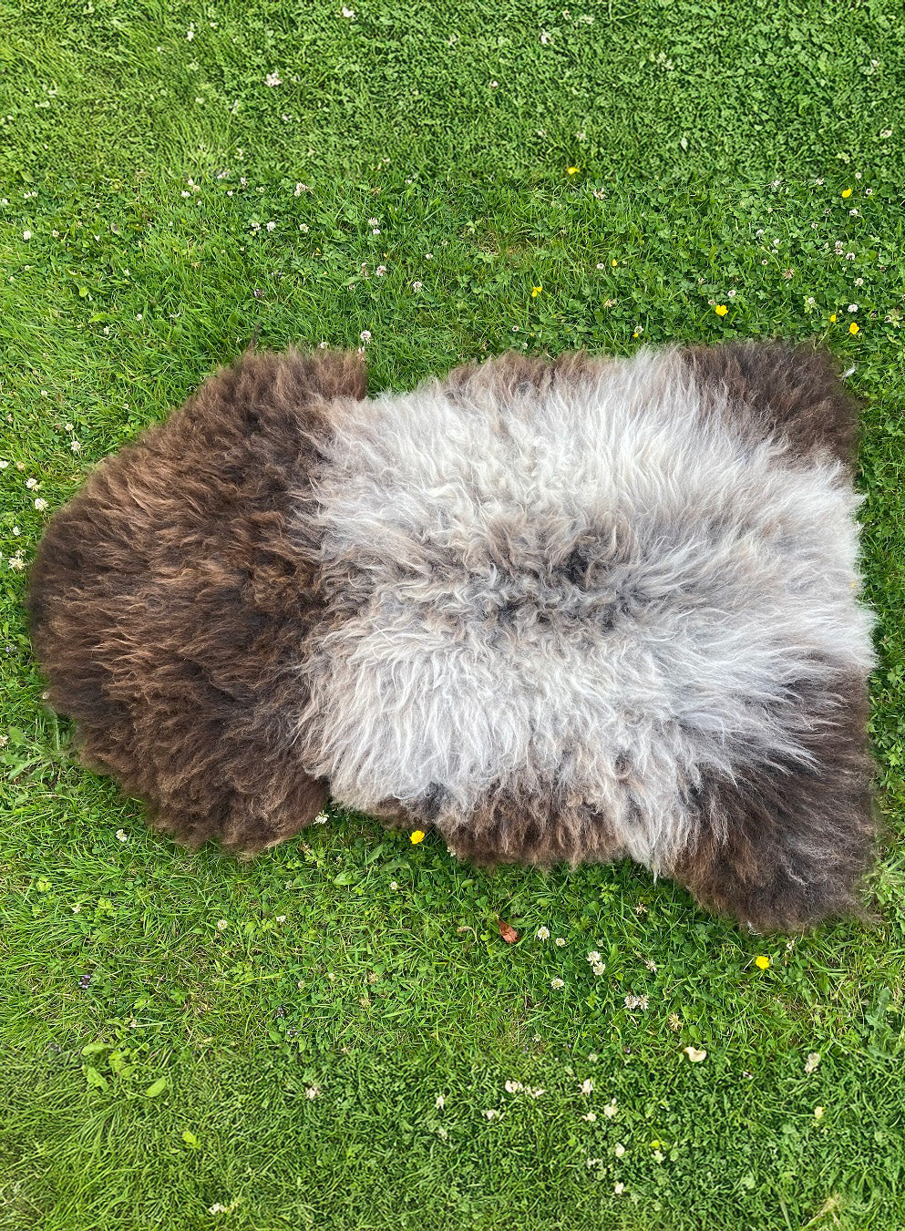 Austin Brown Grey Wolfie Sheepskin Rug