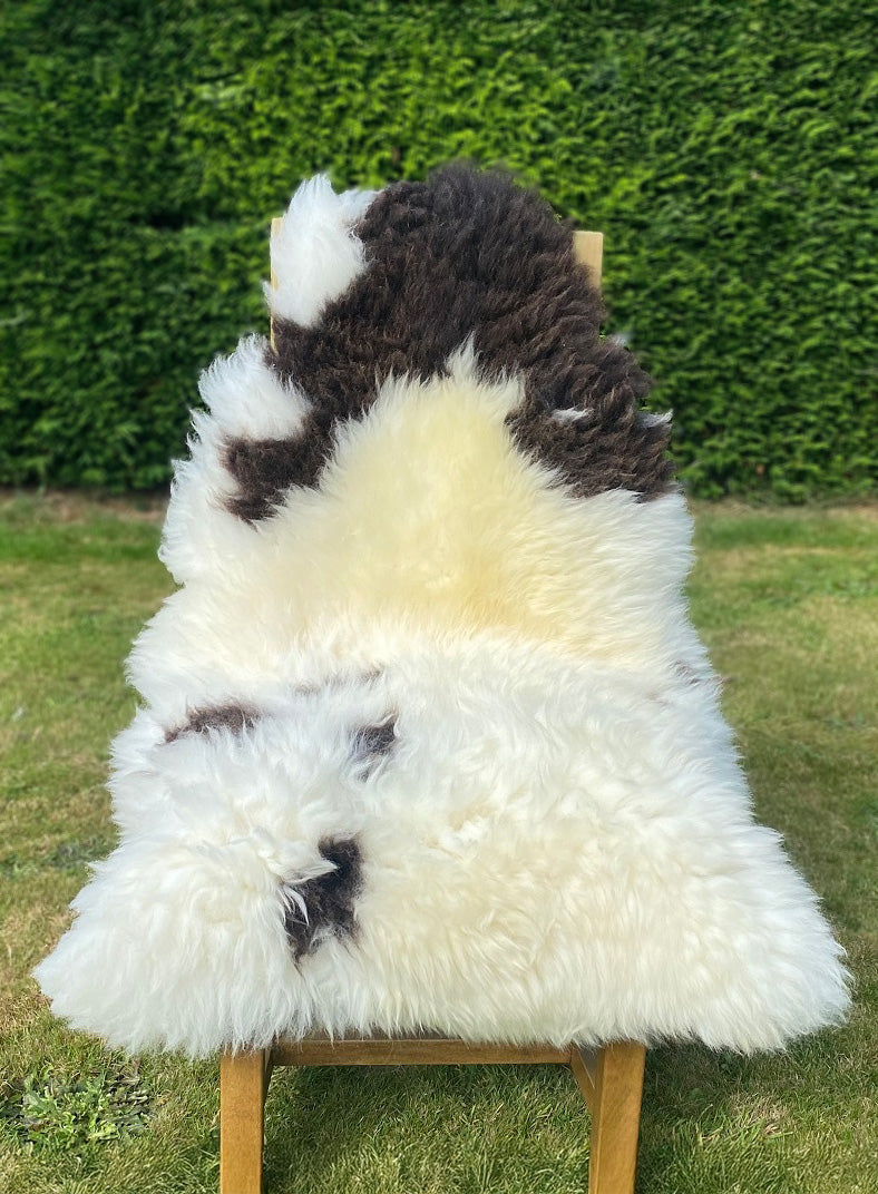 Hornet Spotty Jacob British Sheepskin Rug