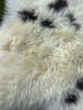 Hornet Spotty Jacob British Sheepskin Rug