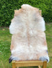 Barbados Black Belly Cross Sheepskin Rug