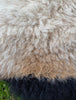 Barbados Black Belly Cross Sheepskin Rug