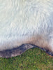 Extra Wide Maurice Cream British Sheepskin Rug