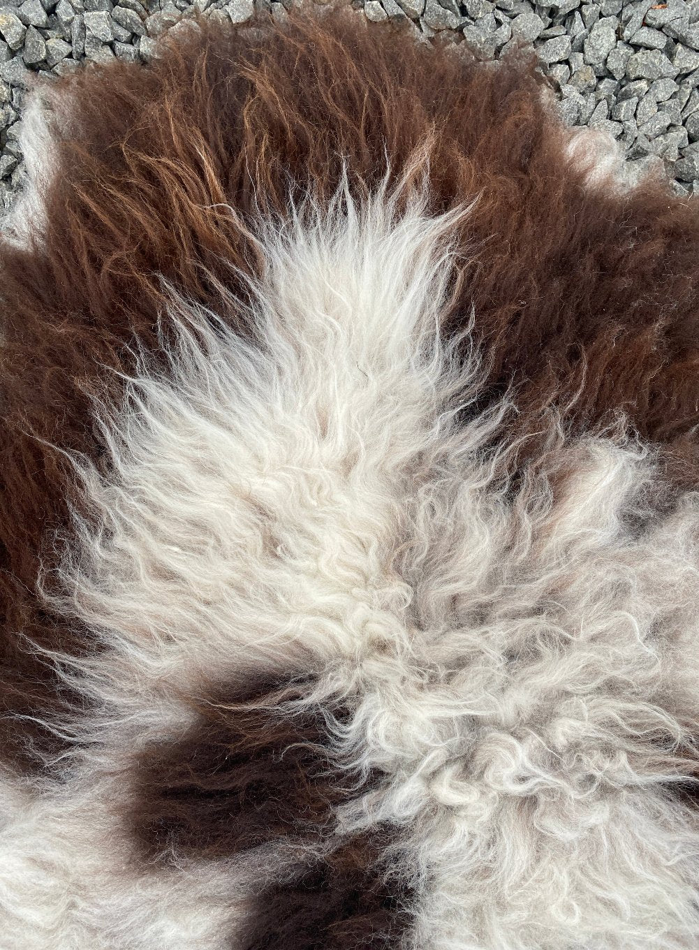 Brown and grey sheepskin rug close up 