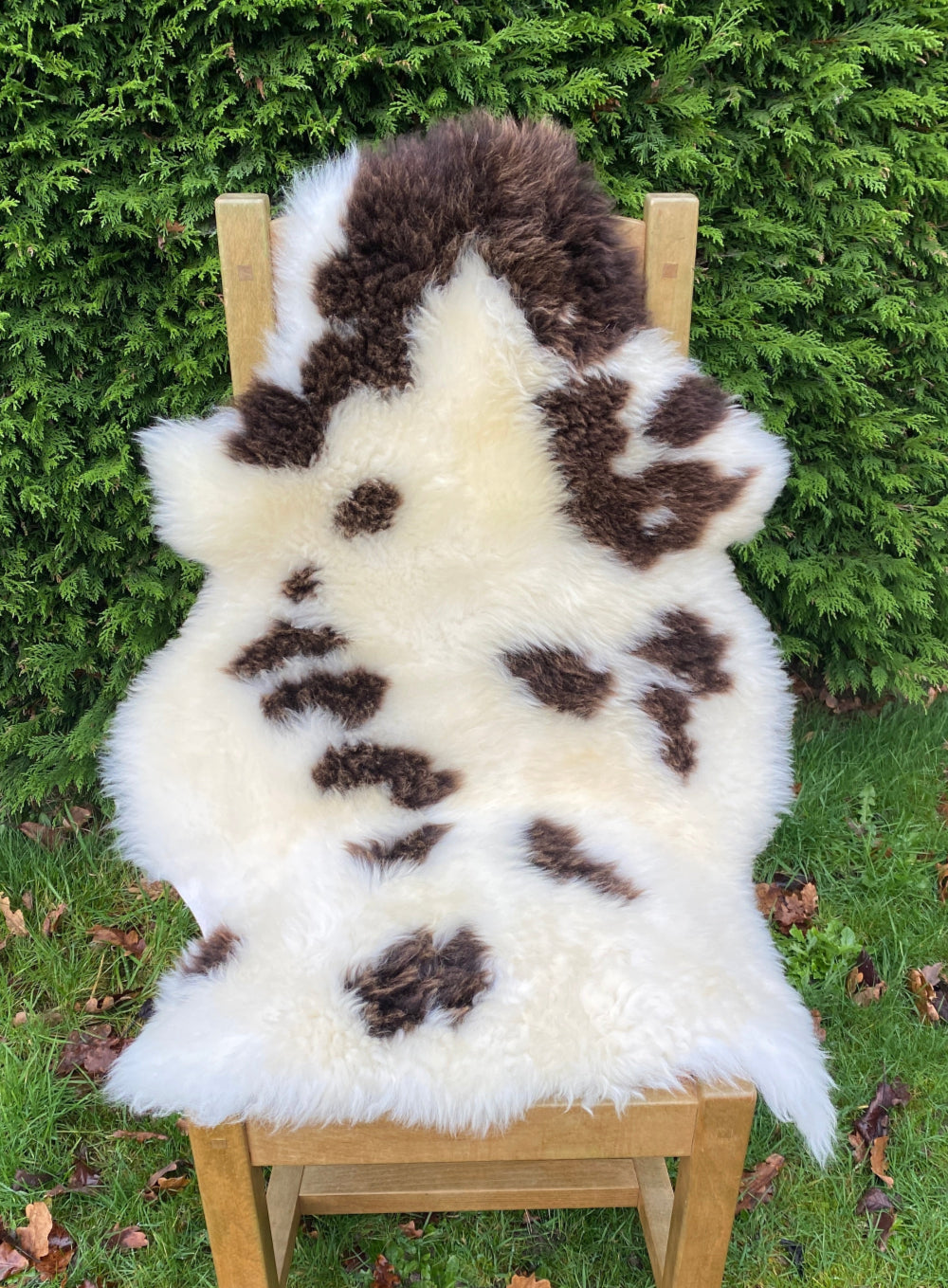 Cream and brown spotty sheepskin rug on chair