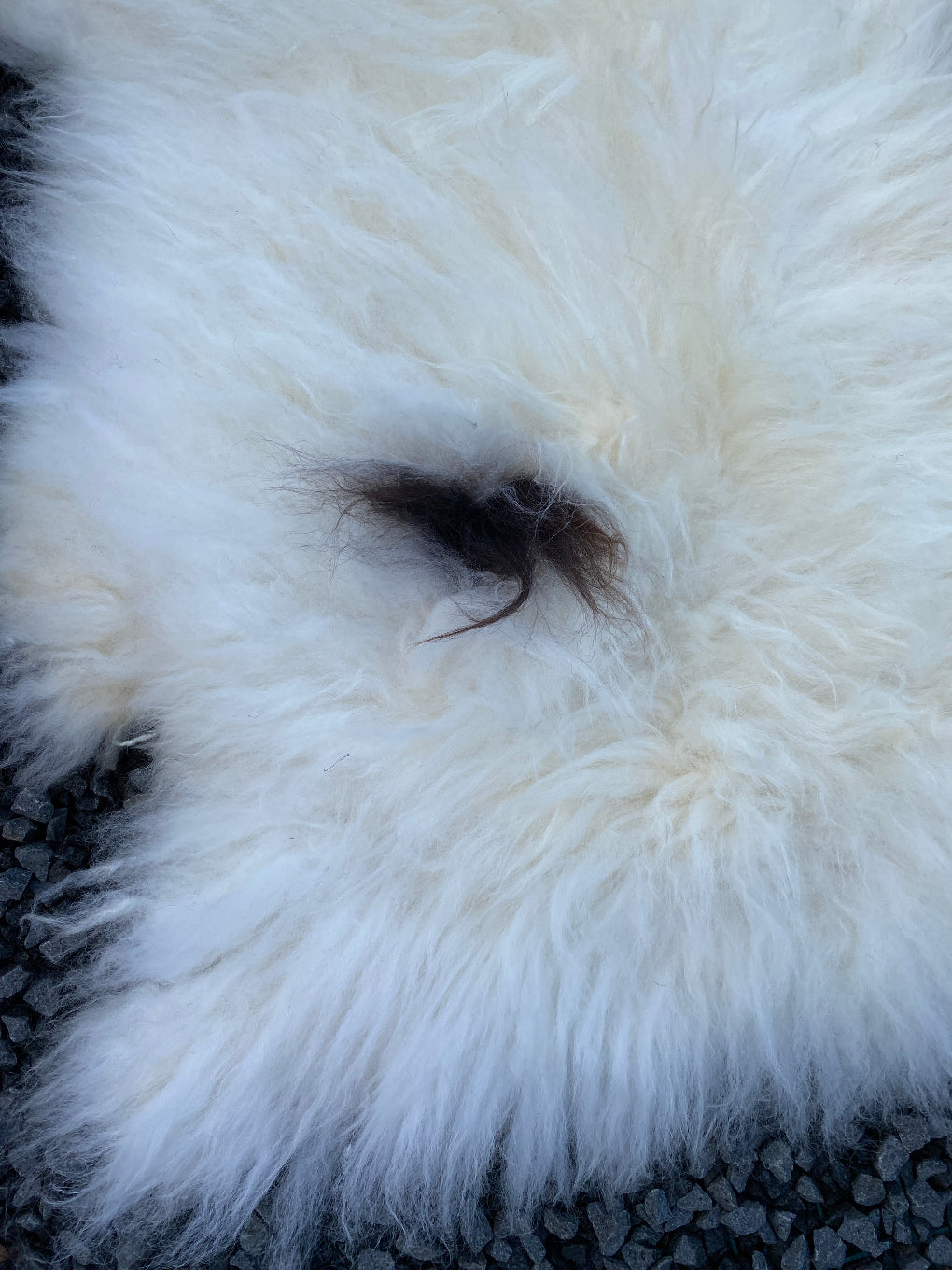 Cream and brown sheepskin rug close up