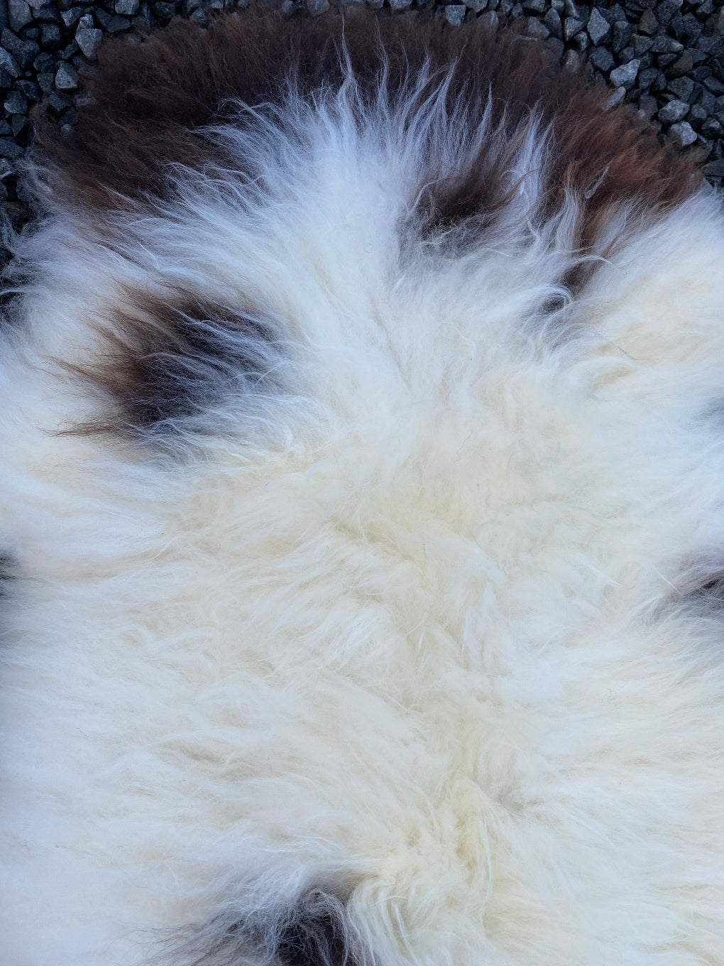 Cream and brown sheepskin rug close up 