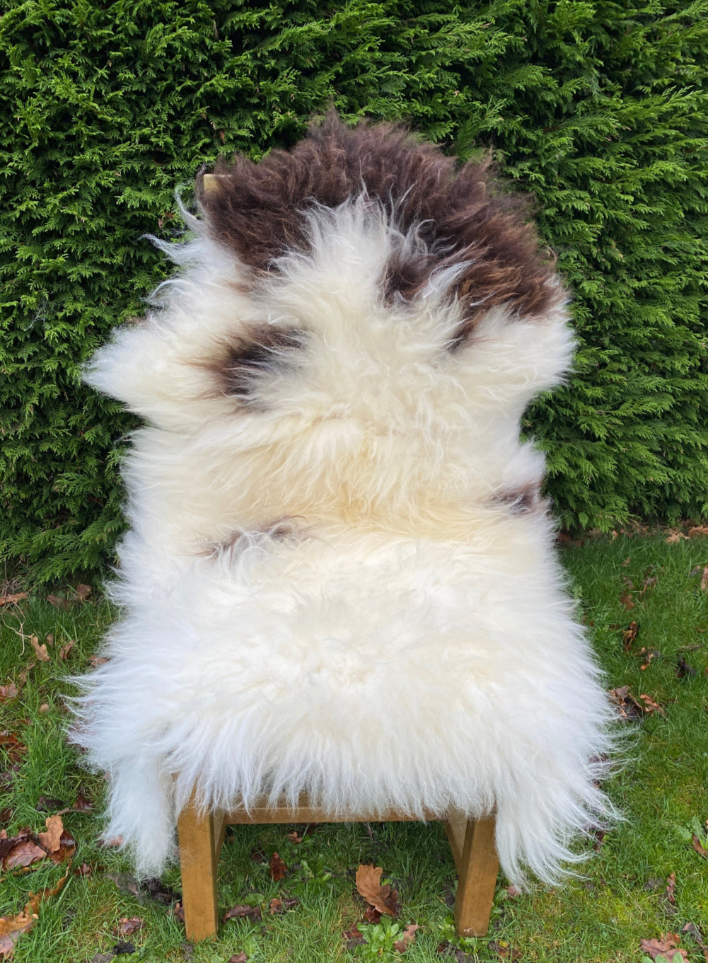 Cream and brown sheepskin rug on chair 