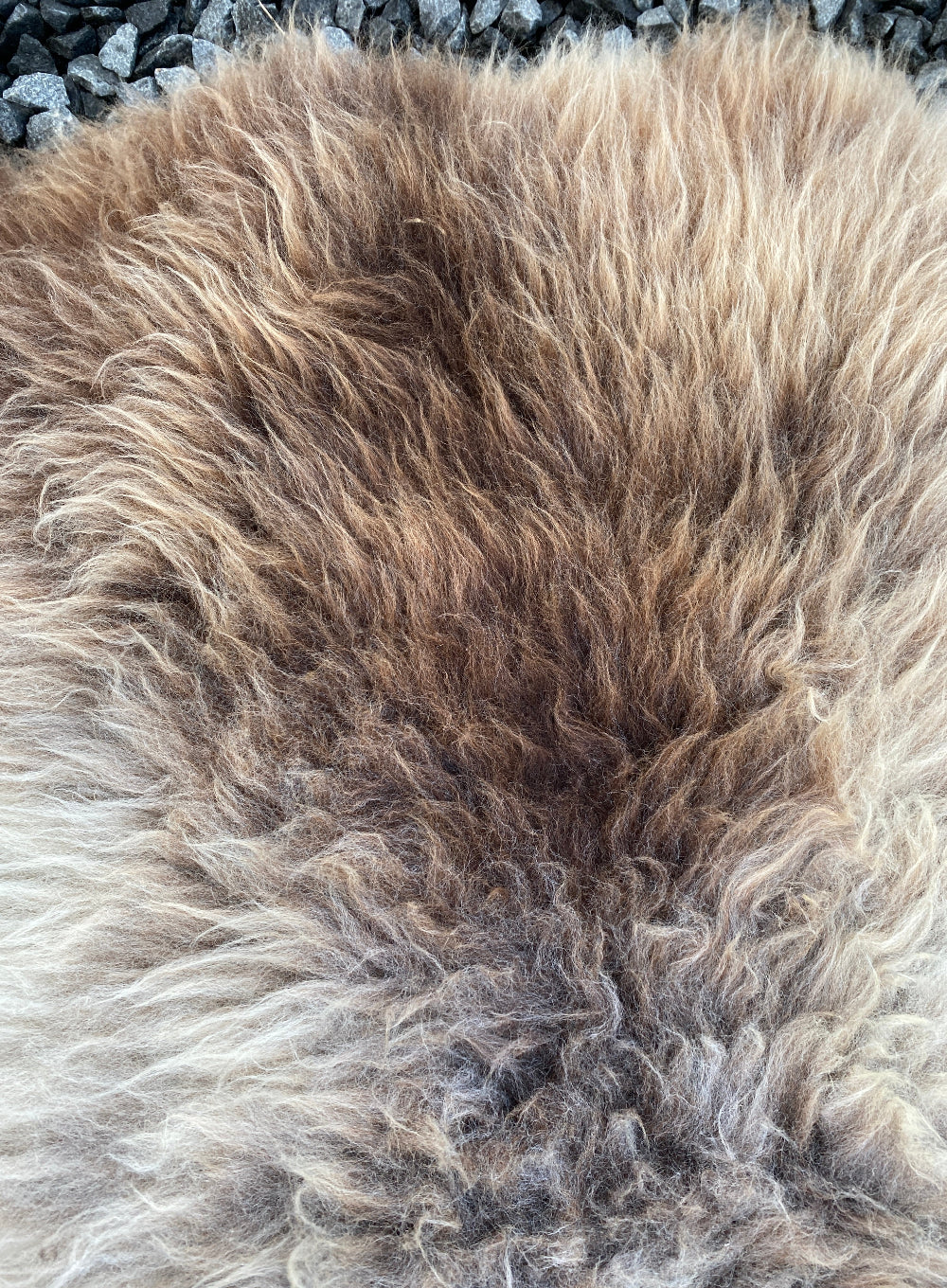 Brown and beige sheepskin rug close up 