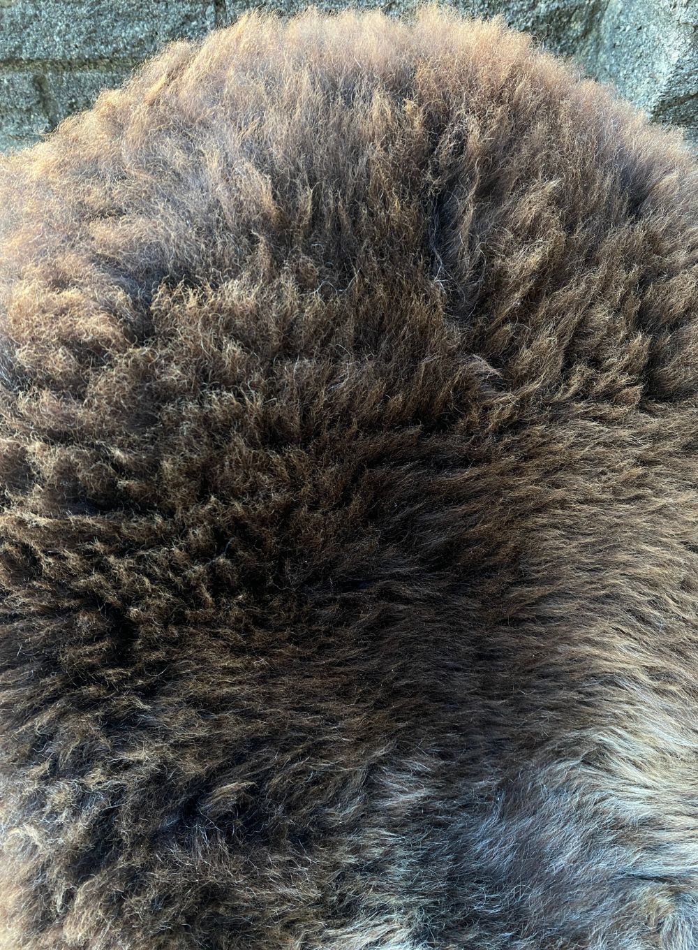 Brown sheepskin rug close up