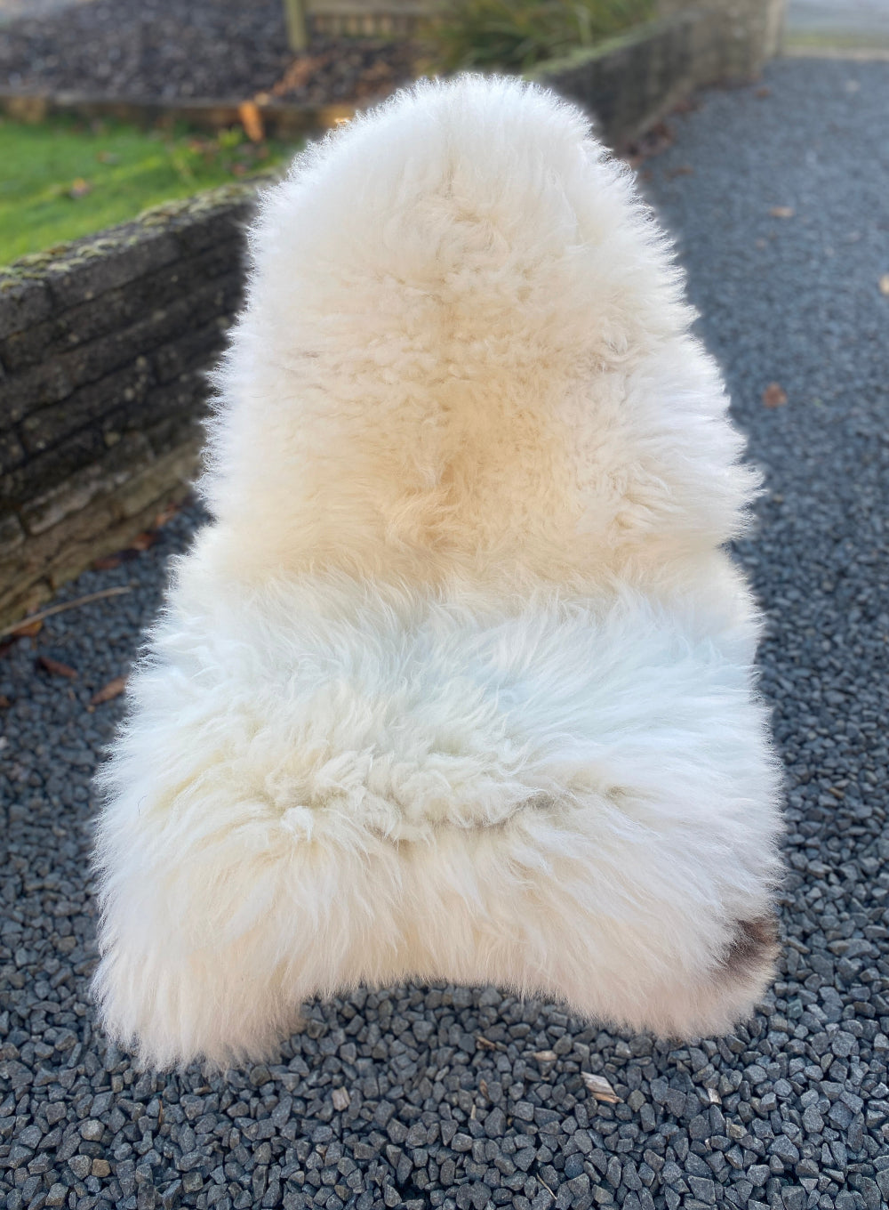Cream sheepskin rug 