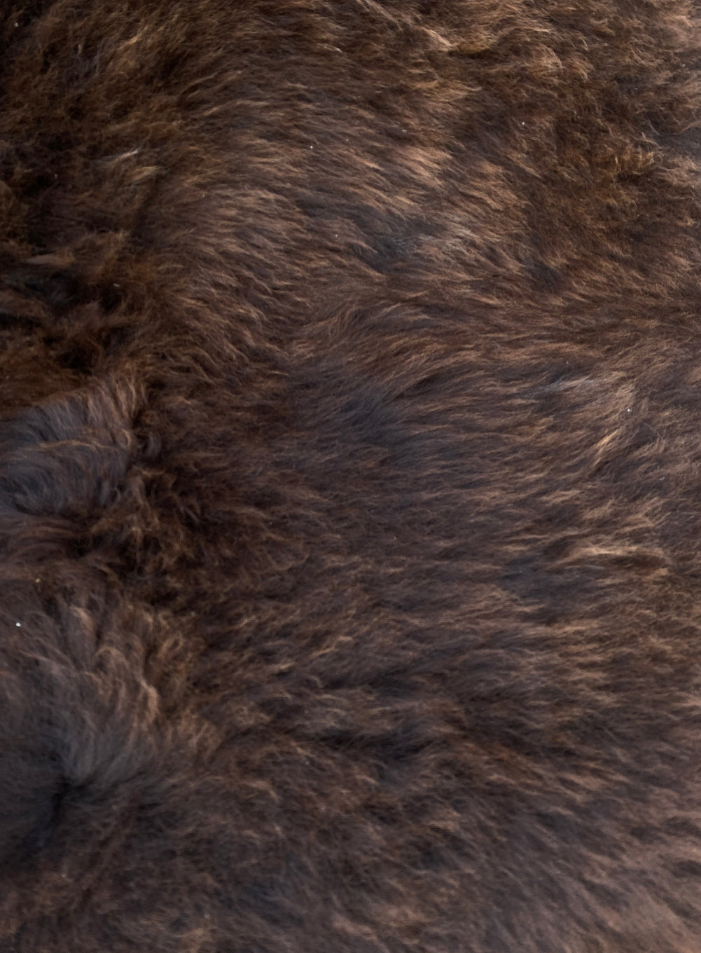 Dark brown sheepskin rug  close up