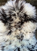 Brown and cream sheepskin rug close up