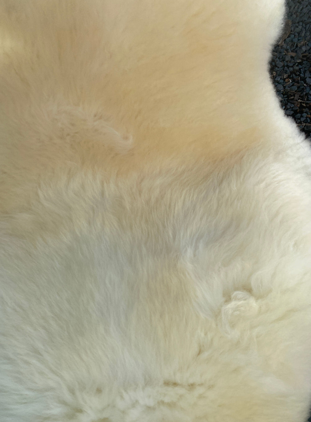 Cream sheepskin rug close up