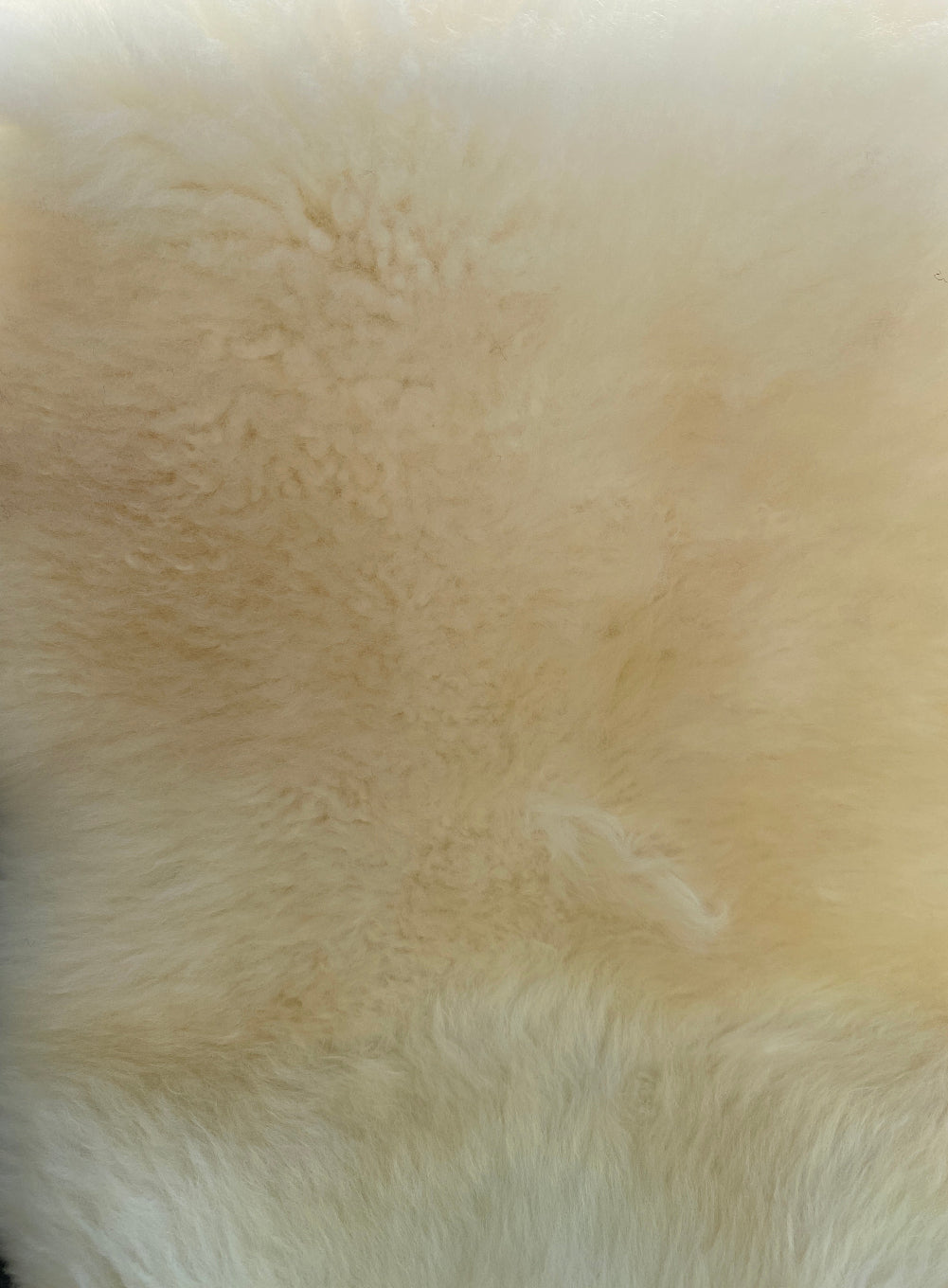 Cream sheepskin rug close up