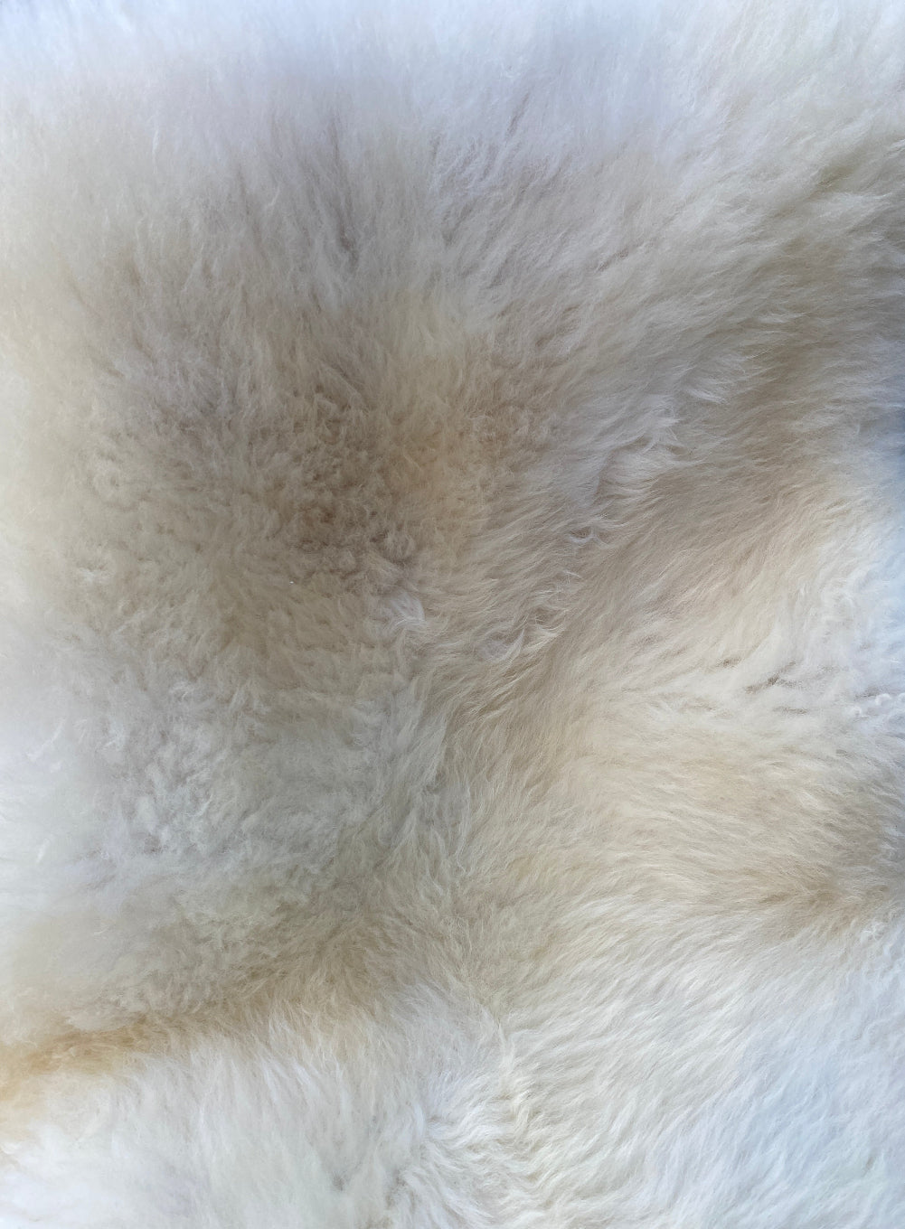 cream sheepskin rug close up