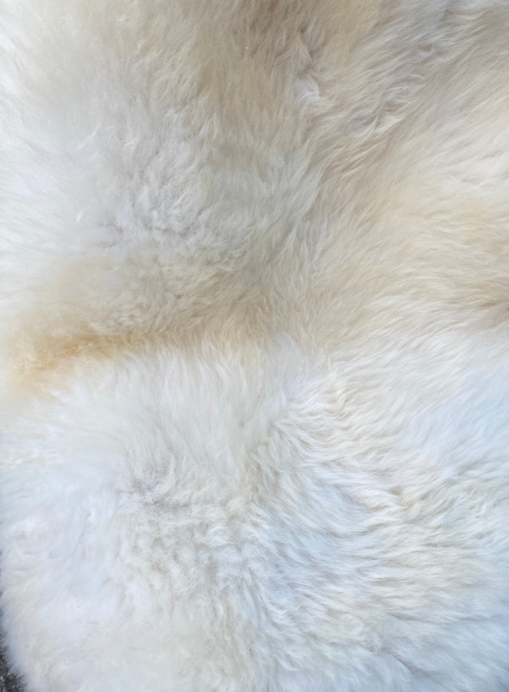 cream sheepskin rug close up