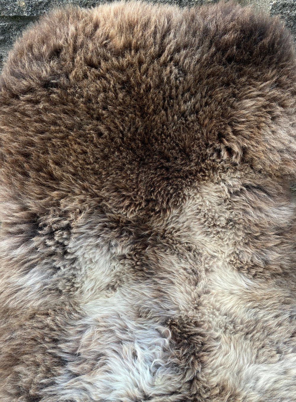 brown and cream sheepskin rug close up