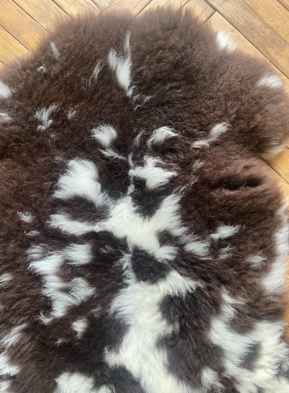 Brown and cream sheepskin rug close up
