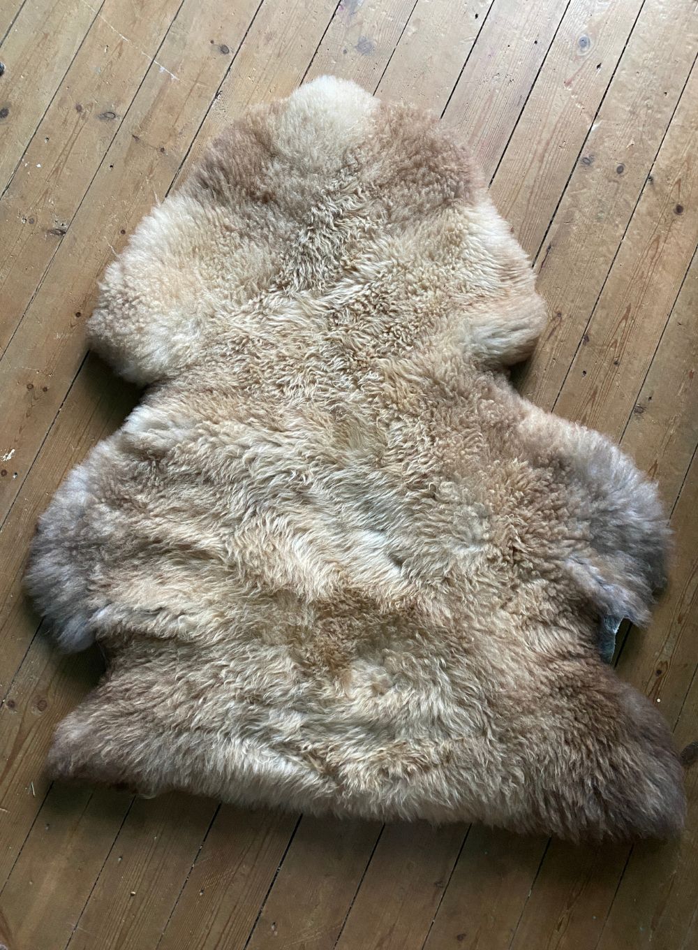 Caramel coloured sheepskin rug on wooden floor