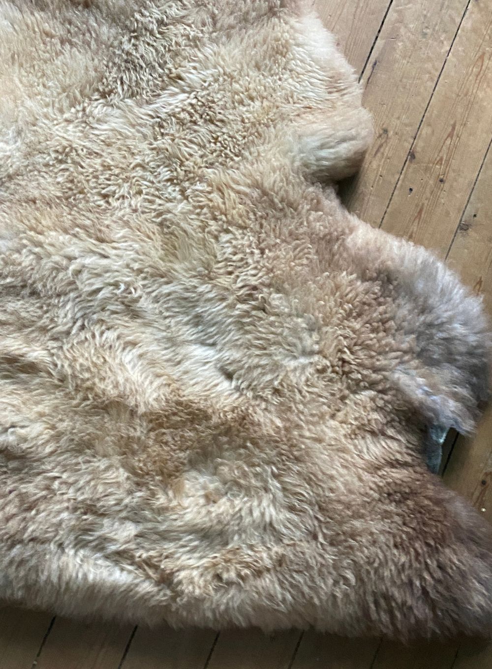 Caramel coloured sheepskin rug close up 