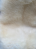 Cream sheepskin rug close up
