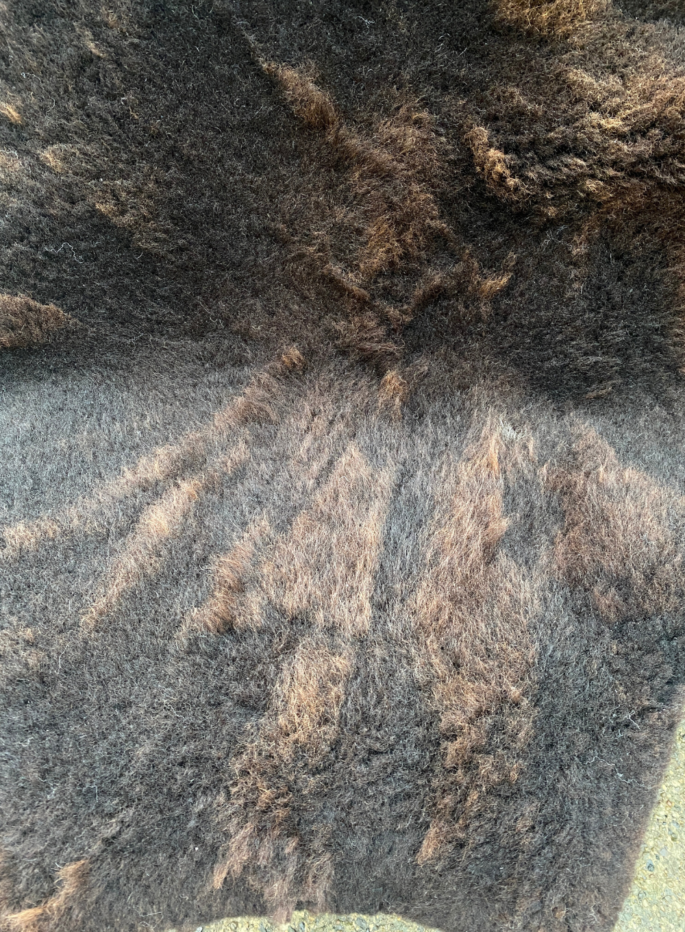 Brown sheepskin rug close up