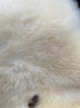 Cream sheepskin rug close up 