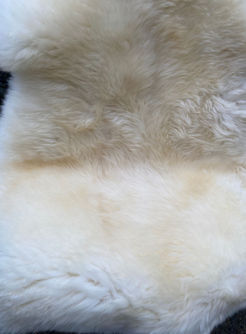 Cream sheepskin rug close up