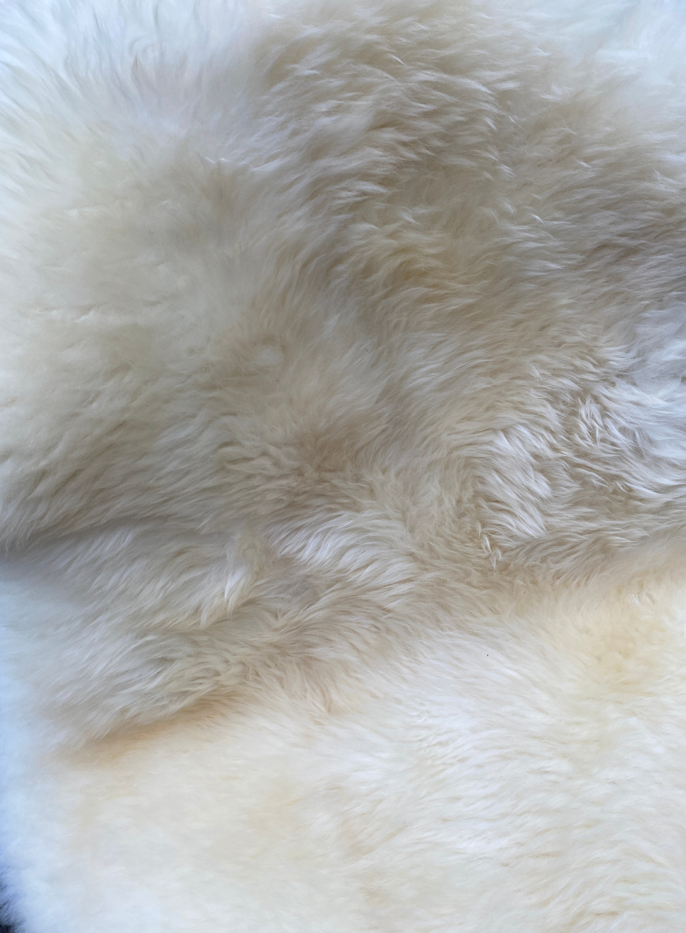 Cream sheepskin rug close up