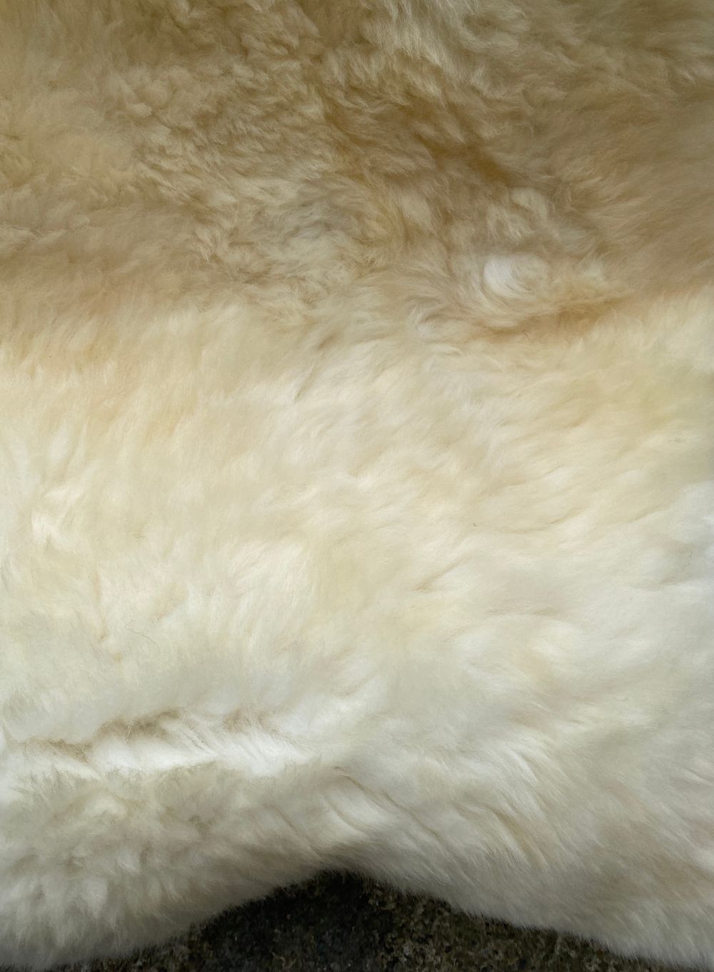 Cream sheepskin rug 