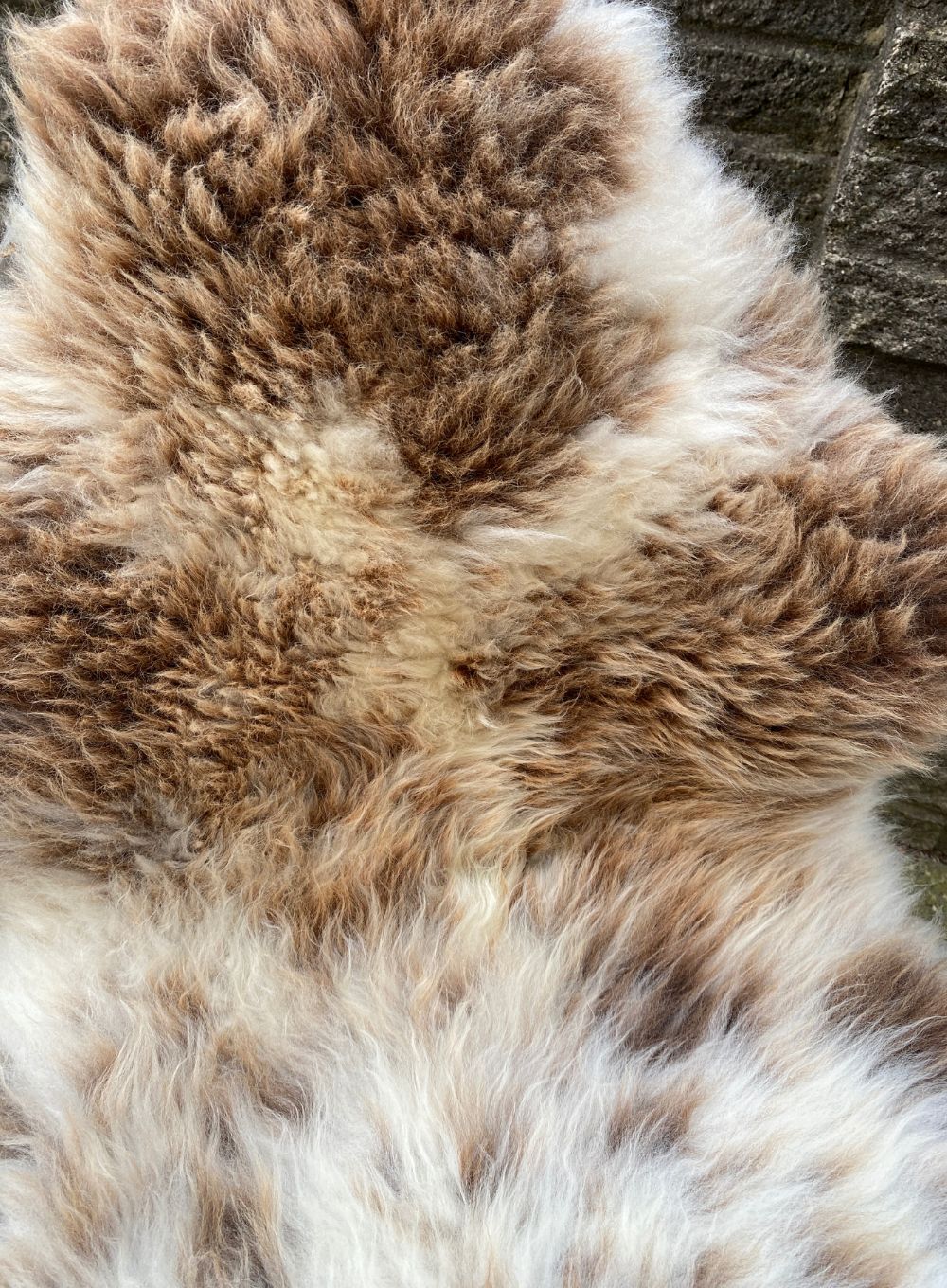 Brown and cream sheepskin rug  close up