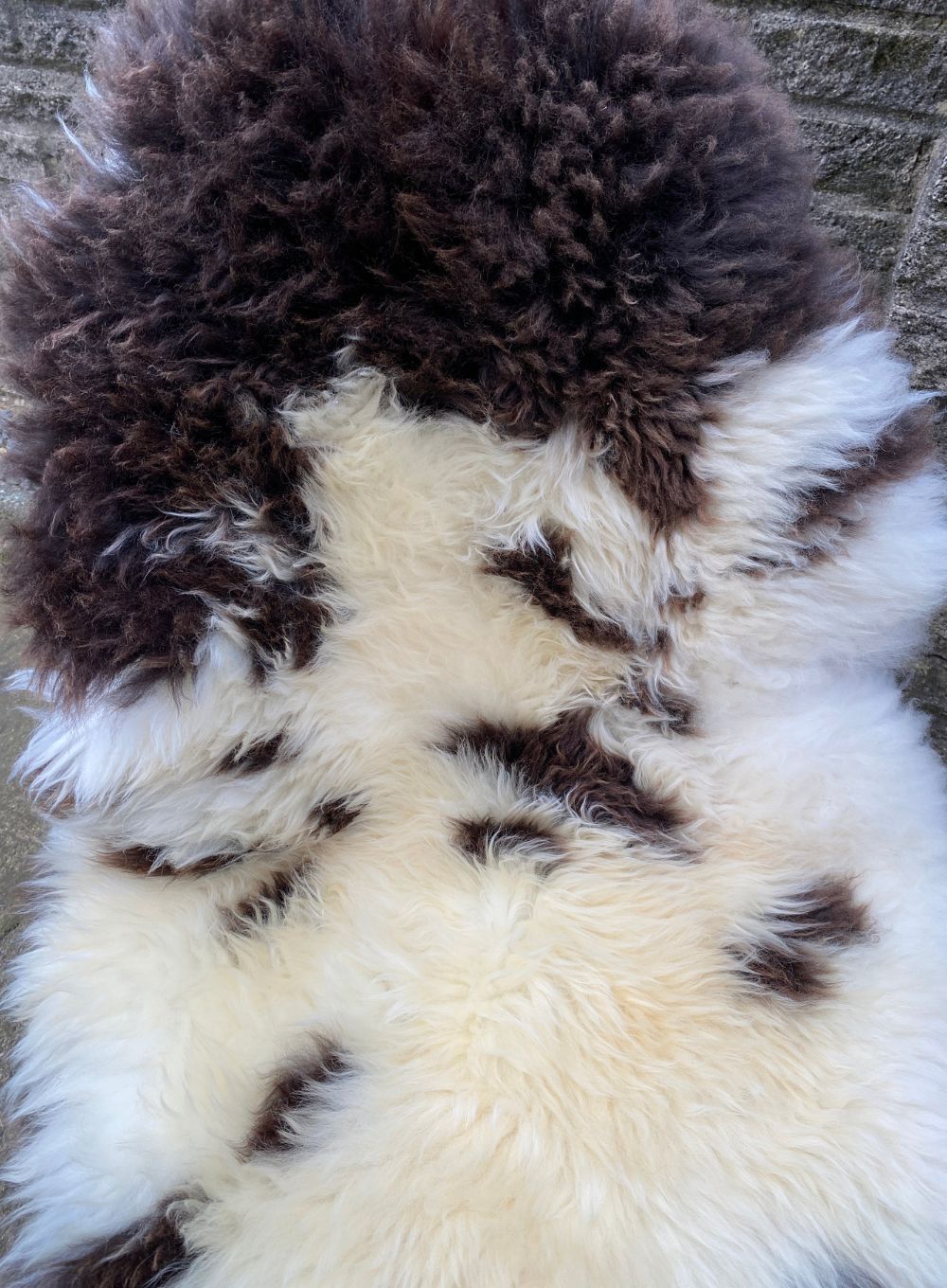 Brown and cream sheepskin rug close up