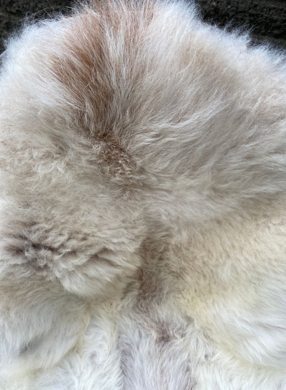 Cream sheepskin rug close up 
