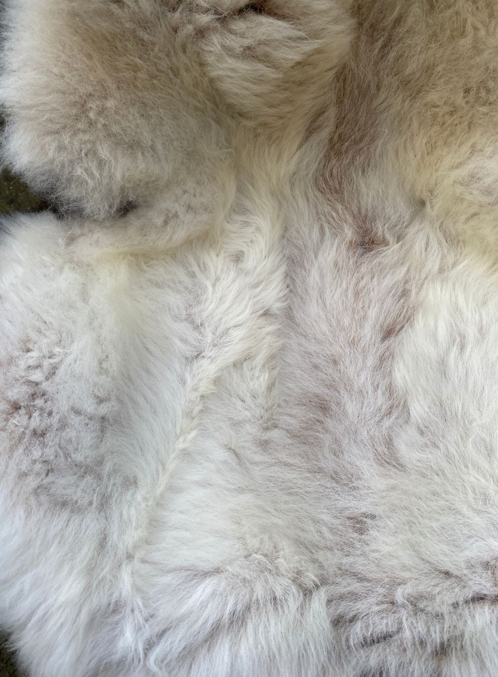 Cream sheepskin rug close up 