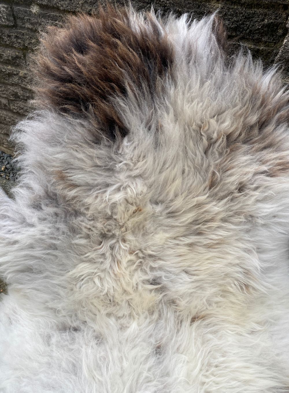 Cream and brown sheepskin rug close up 