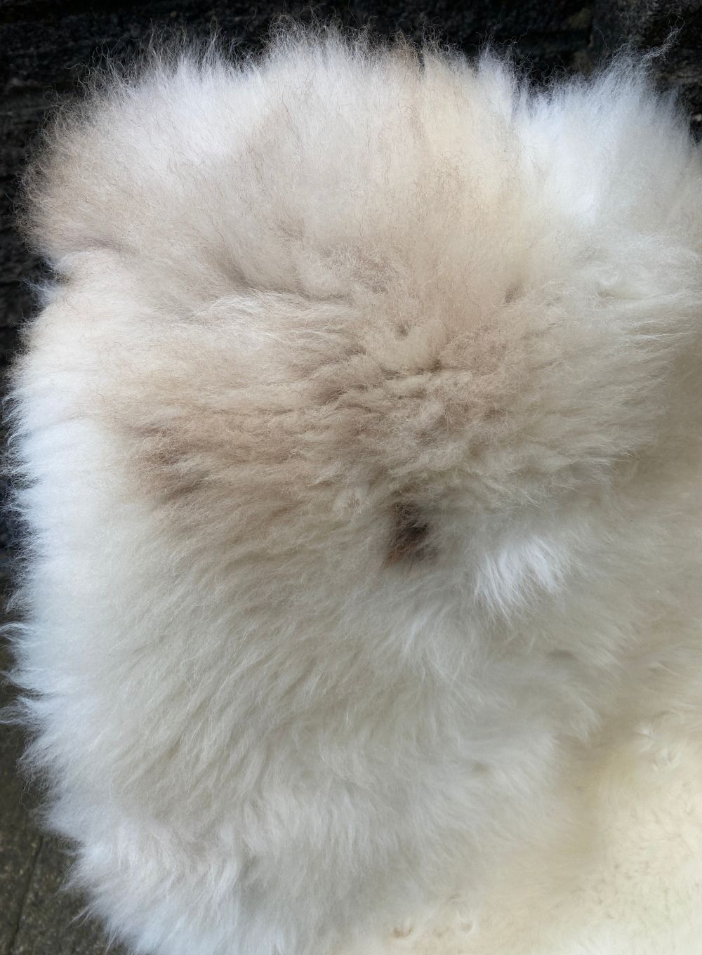 Cream sheepskin rug close up