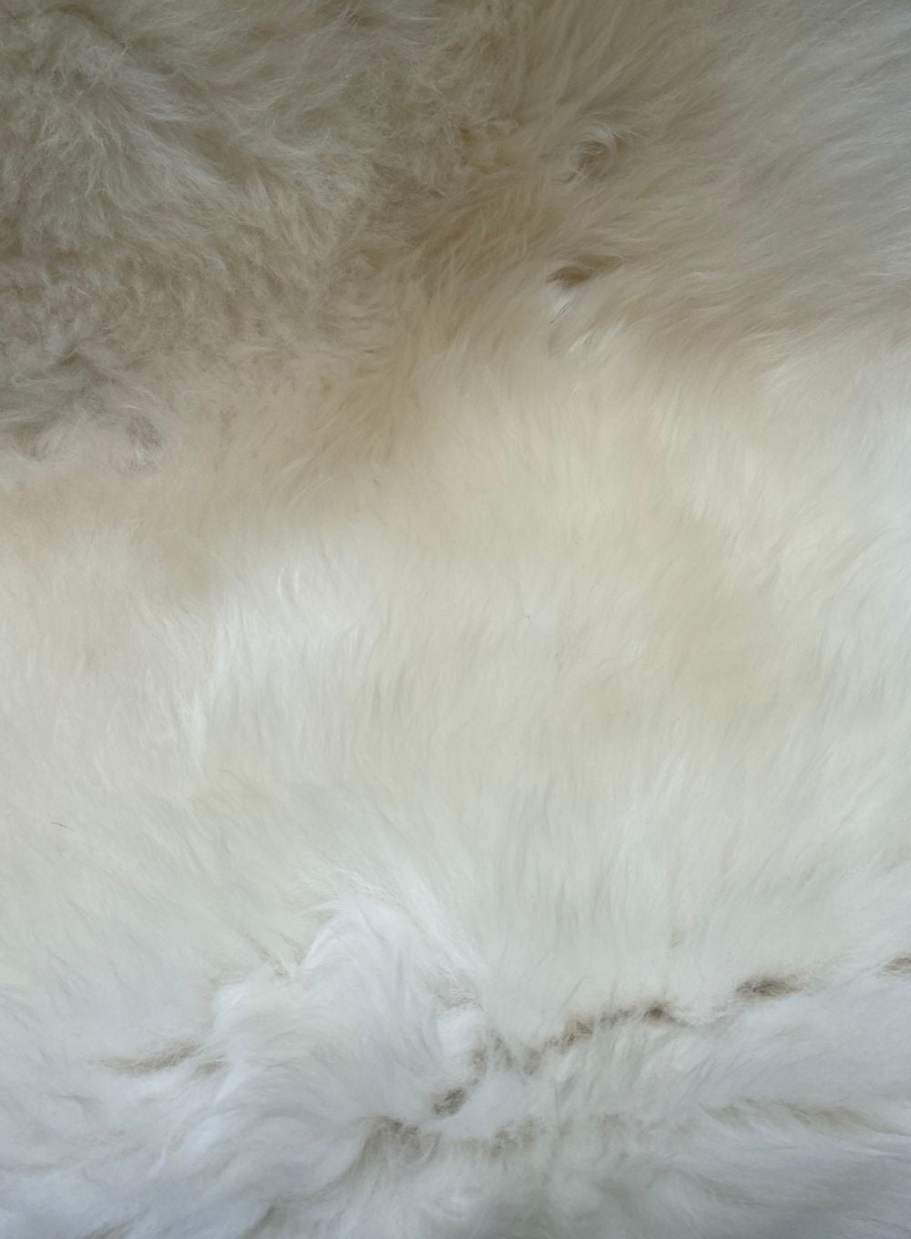 Cream sheepskin rug close up