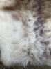 Cream and brown speckled sheepskin rug close up