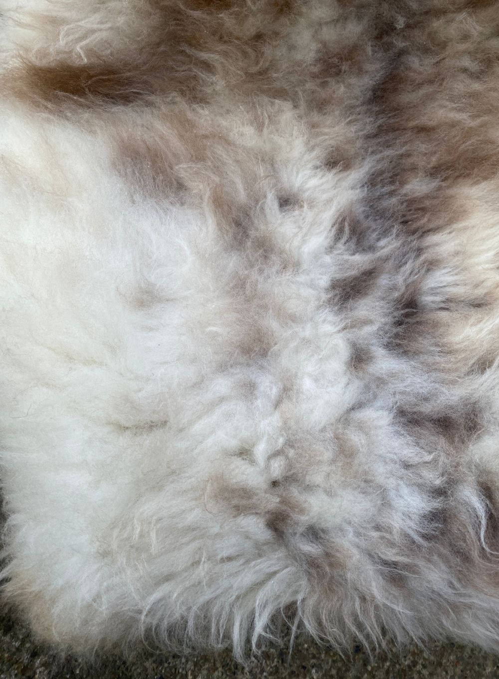 Cream and brown speckled sheepskin rug close up